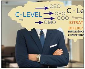 Leia mais sobre o artigo Executivos C-LEVEL/C-SUITE